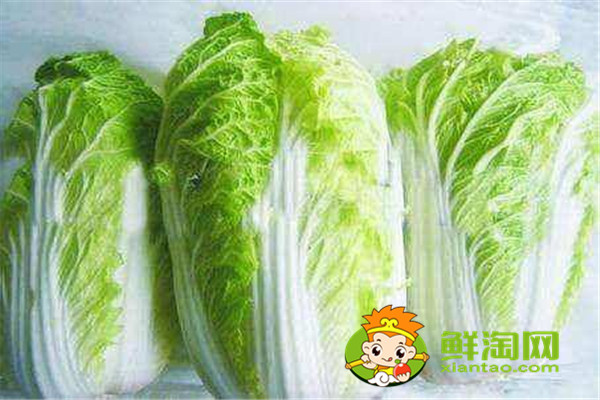 大白菜的营养价值及功效，怎么挑选新鲜大白菜