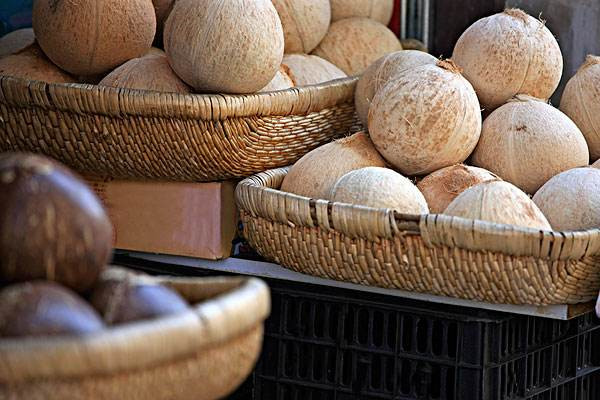 椰子属于水果还是坚果,椰子属于核果类水果