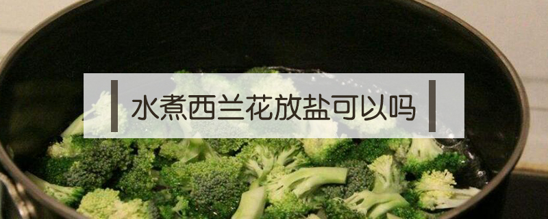 水煮西兰花放盐可以吗
