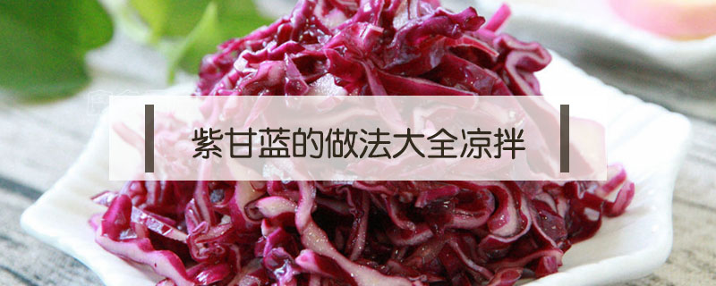 紫甘蓝的做法大全凉拌
