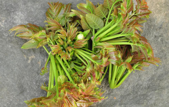 春分吃什么美食,春分节气养生吃什么菜?