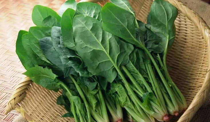 春分吃什么美食,春分节气养生吃什么菜?