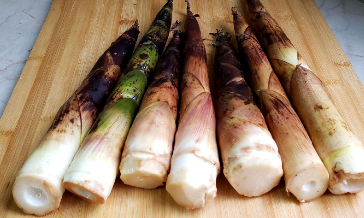 春分吃什么美食,春分节气养生吃什么菜?