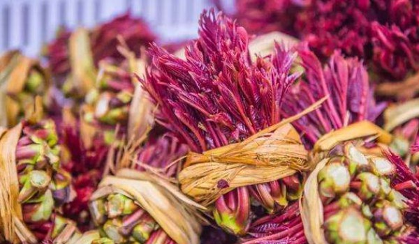 鲜香椿怎样长期保存不变色